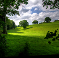 Gardens Images Image4 2